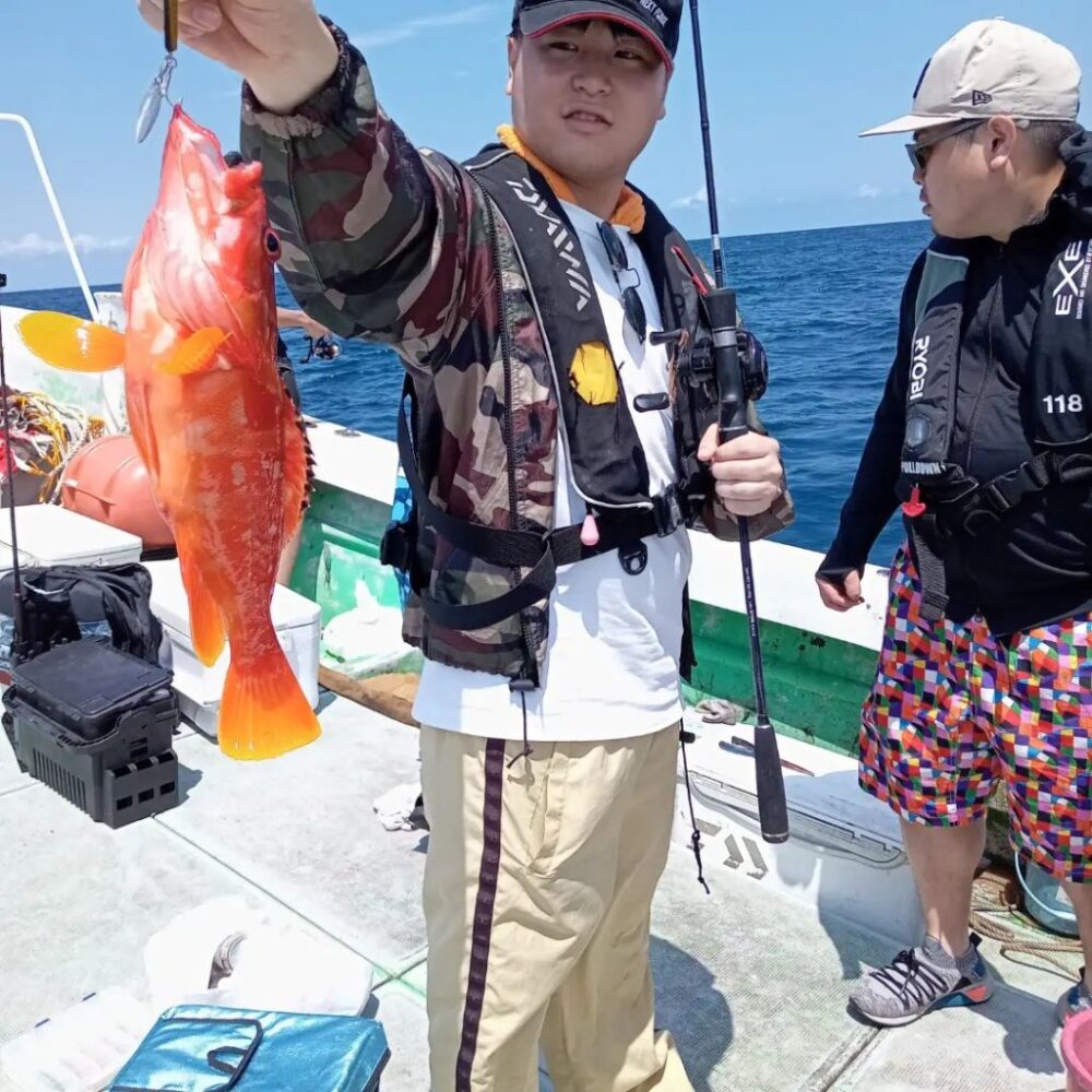 壱岐の遊漁船流星Ⅱで釣れたアカハタ