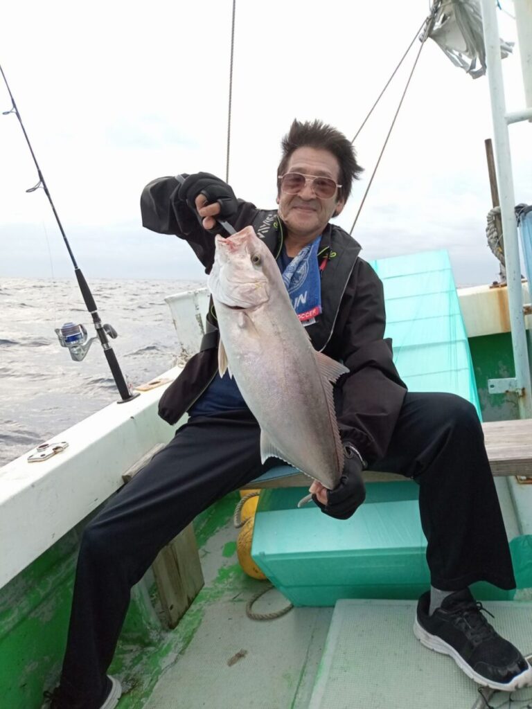 壱岐の遊漁船流星Ⅱで釣れたヤリイカ