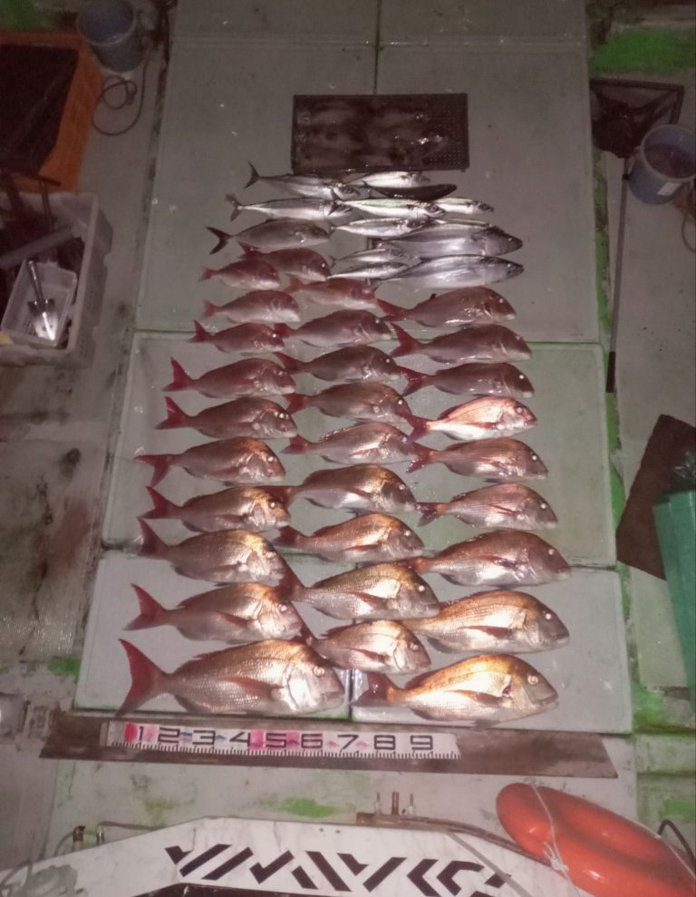 壱岐の遊漁船流星Ⅱで釣れたマダイ