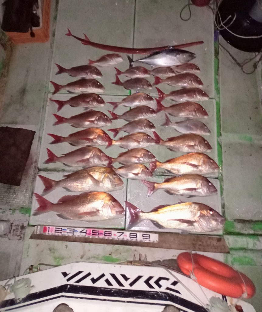 壱岐の遊漁船流星Ⅱで釣れたマダイ