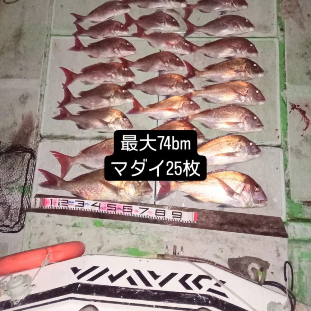 壱岐の遊漁船流星Ⅱで釣れたマダイ
